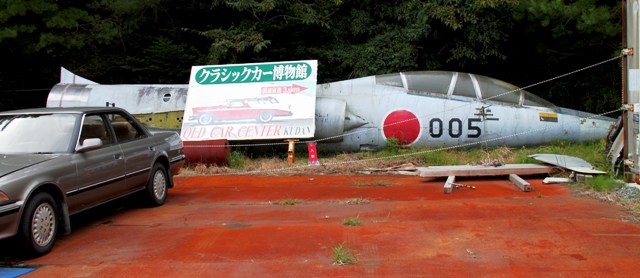 【現品】【発根済】コミフォラ・アフリカーナ 　9号　Z7番 9 コミフォラ アフリカーナ 発根済み - メルカリ
